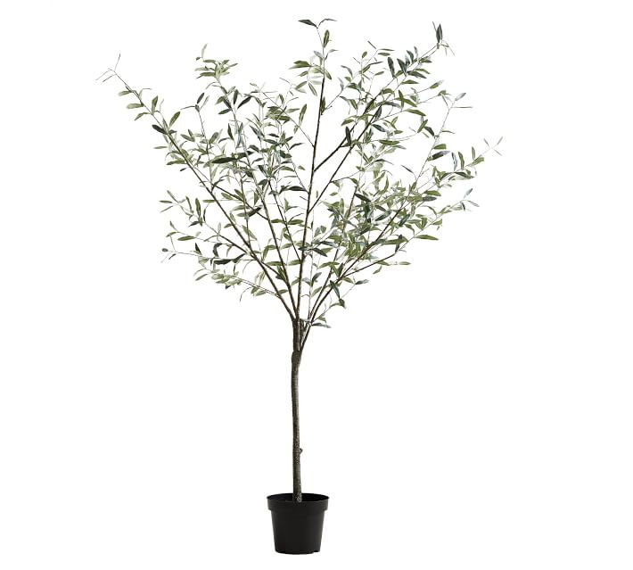 Faux Plants & Trees | Pottery Barn (US)