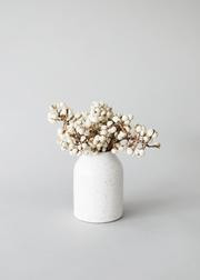 Natural Tallow Berries in White  6" - 8" - 3 oz Bundle | Afloral (US)