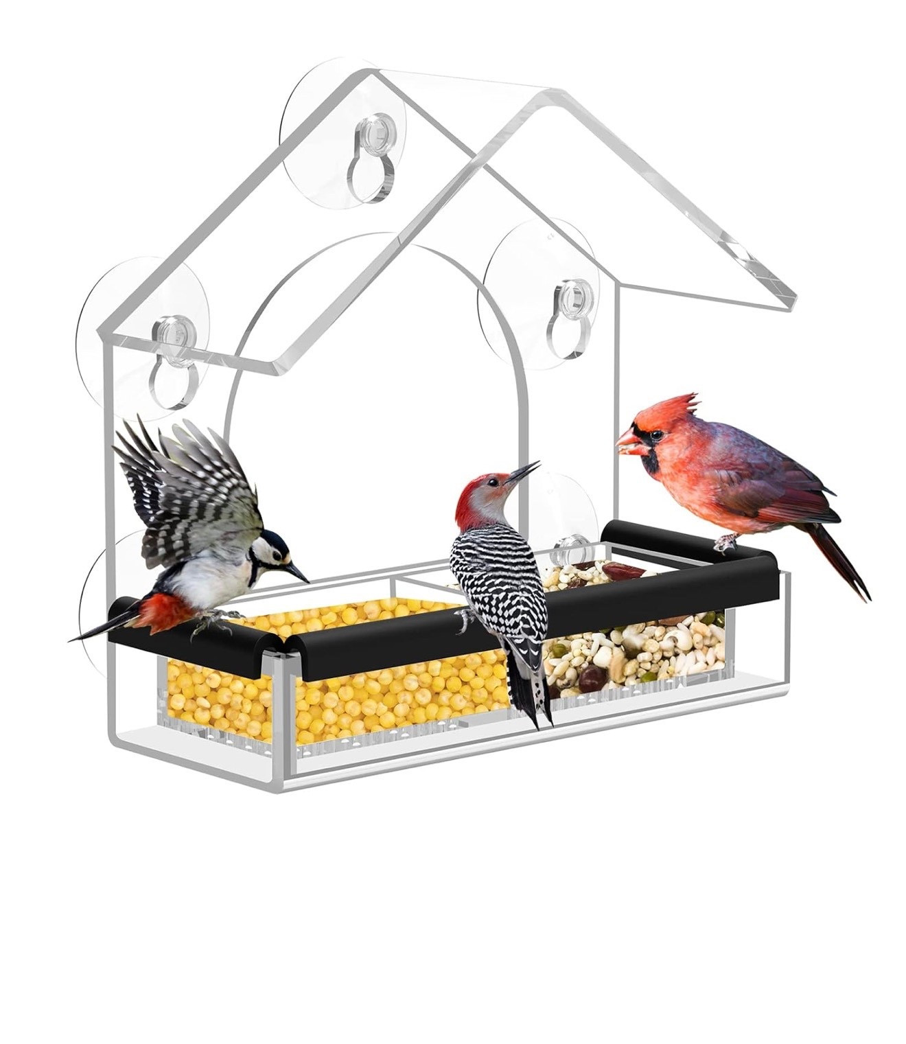 Window bird feeder 🕊️

#LTKSeasonal #LTKKids #LTKmomlife
