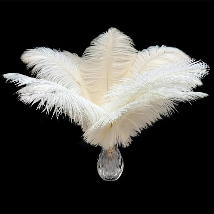 Piokio 20Pcs White Ostrich Feathers 10-12 inch (25-30cm) Bulk Feathers for Home Decoration and DI... | Amazon (US)