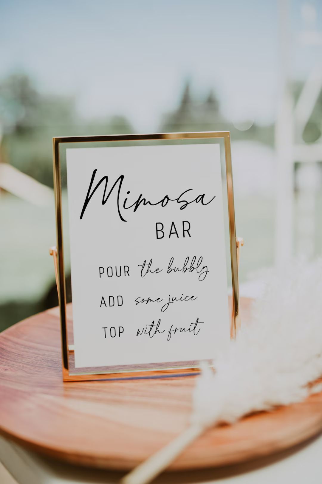 Mimosa Bar Sign, Bridal Shower Sign, Brunch Sign - Etsy | Etsy (US)