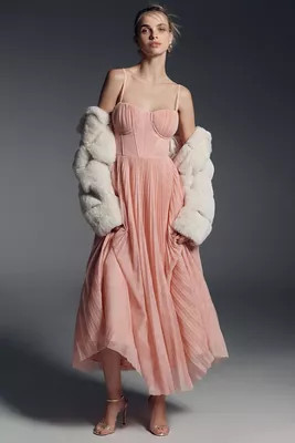 Hutch Amara Corset Pleated Tulle Fit & Flare Midi Dress | Anthropologie (US)