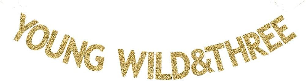 Young Wild&Three Banner, Fun Gold Gliter Paper Sign for Kids/Boys/Girls 3rd Birthday Party, Wild ... | Amazon (US)