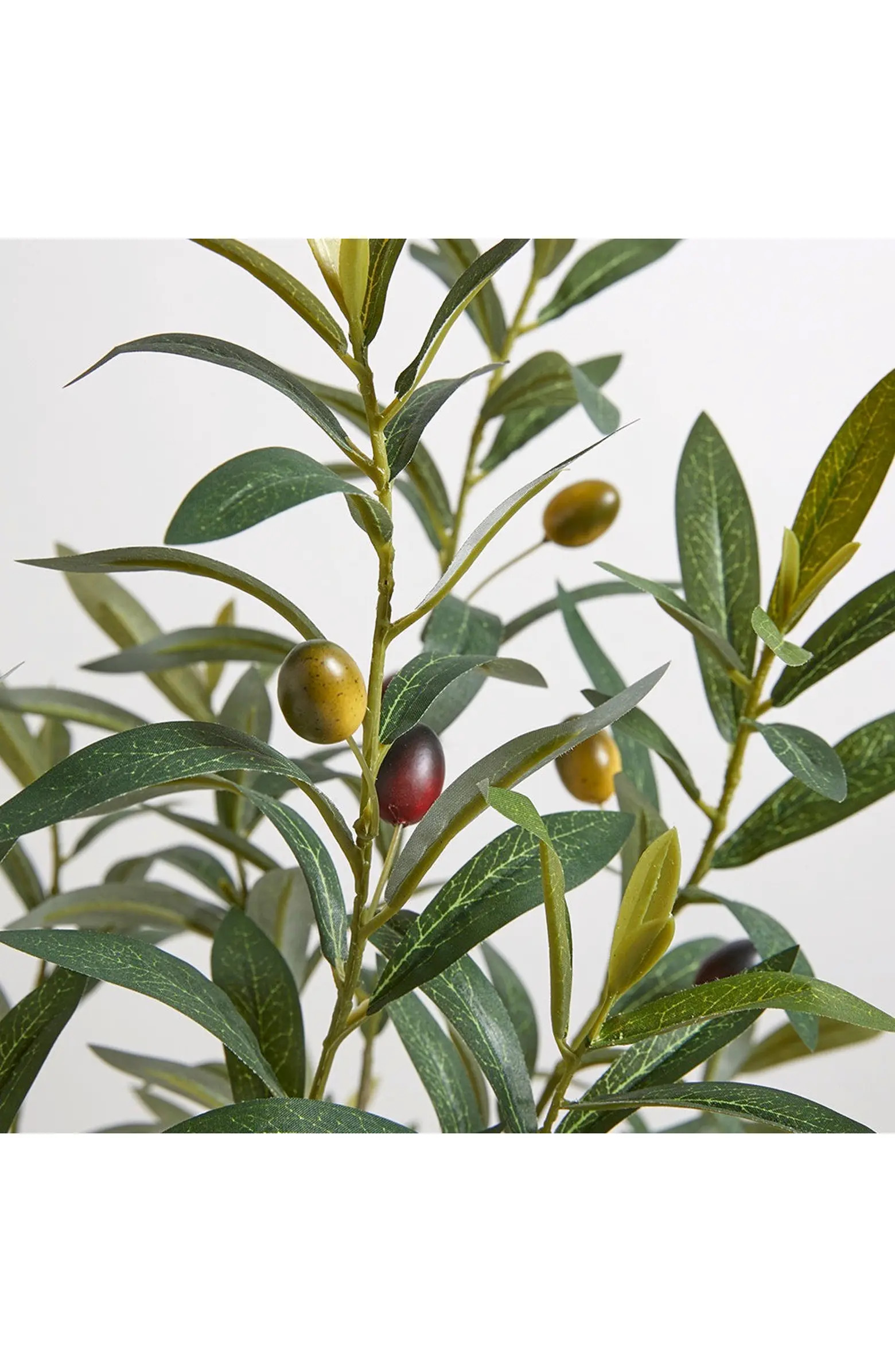 Artificial Olive Topiary Tree with Mediterranean Pot | Nordstrom