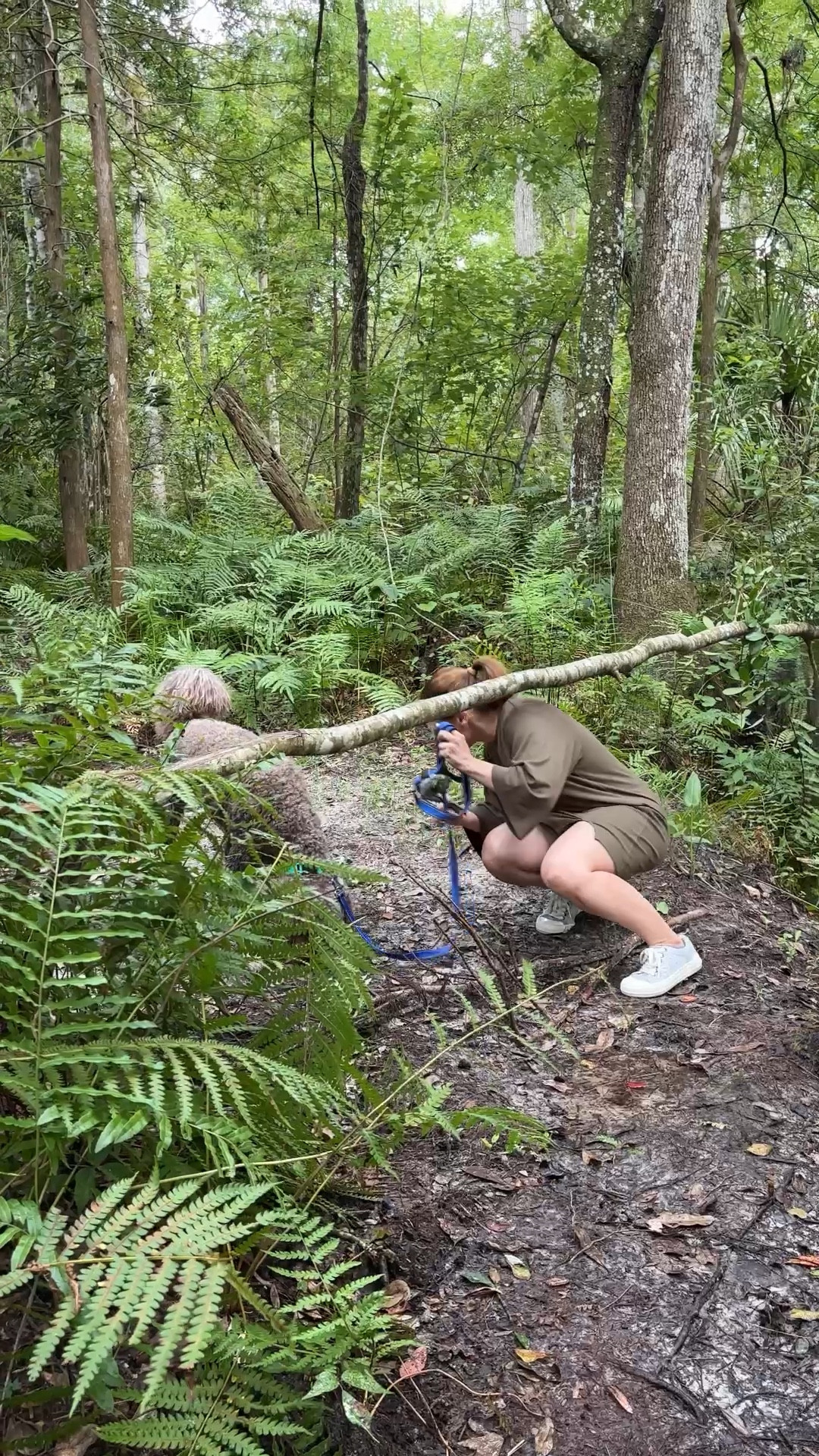 #LTKdayinmylife #LTKPetite #LTKActive