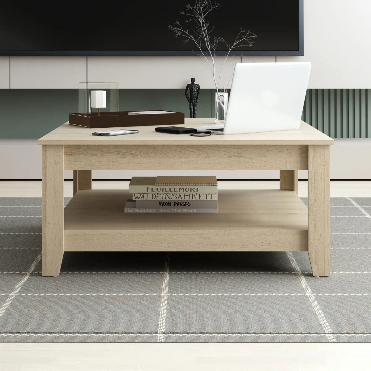 Weddel Basilico Coffee Table with Storage | Wayfair North America