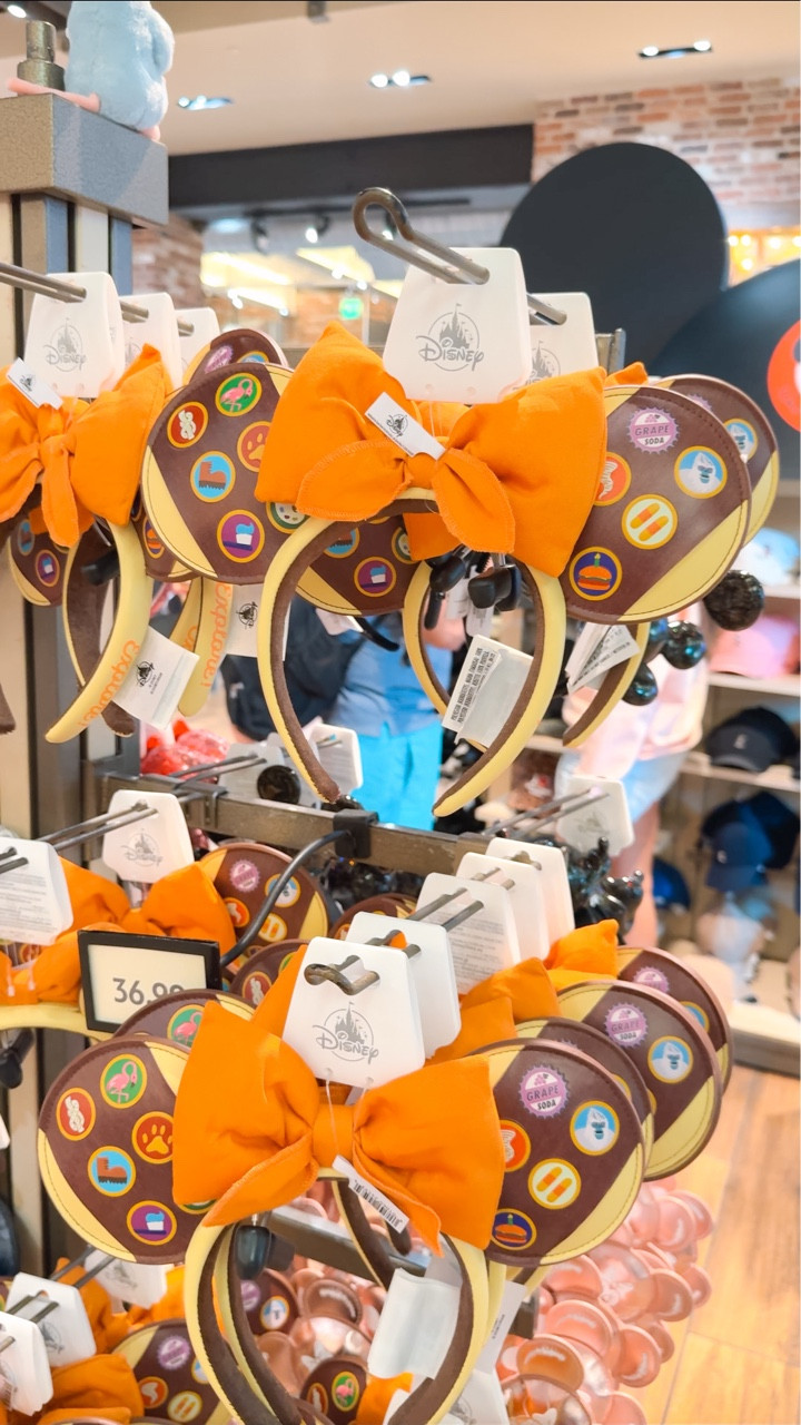Pixar Up Disney Ears! 🏡🎈🐾 #disney #disneymerch #diseyworld #pixar

#LTKKids #LTKdayinmylife #LTKTravel