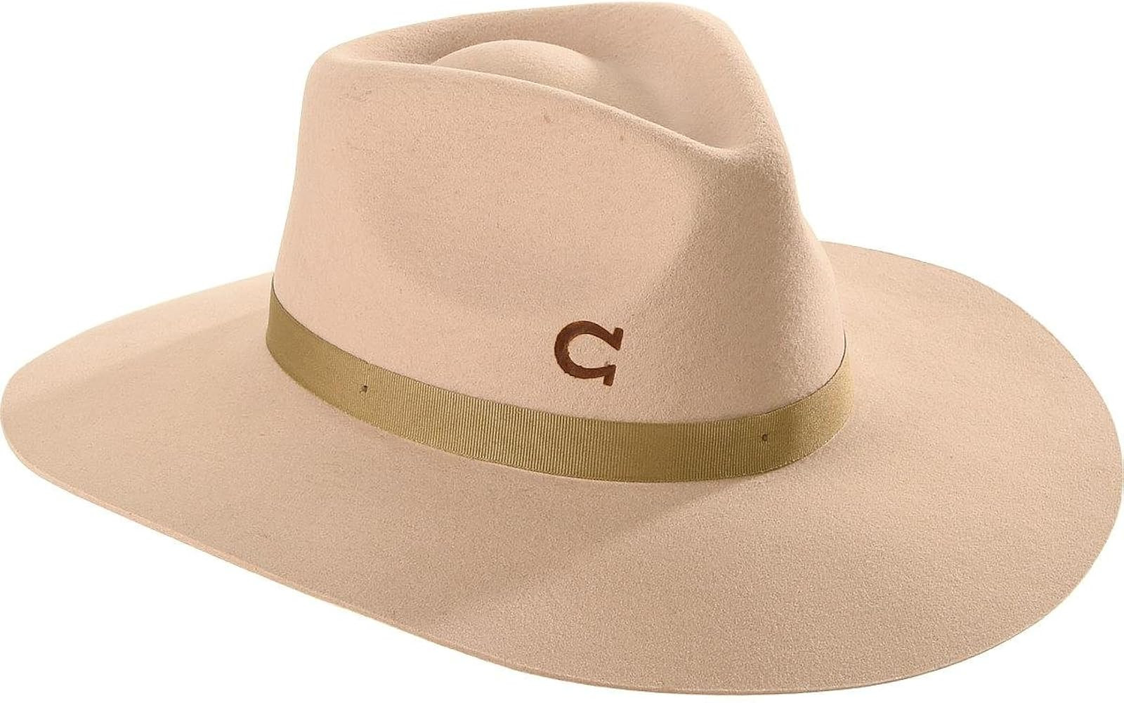 Charlie 1 Horse Hats Womens CWHIWA-403661 C1H Silver Belly Highway 33/4` Brim Wool Fashion Hat M Sil | Amazon (US)