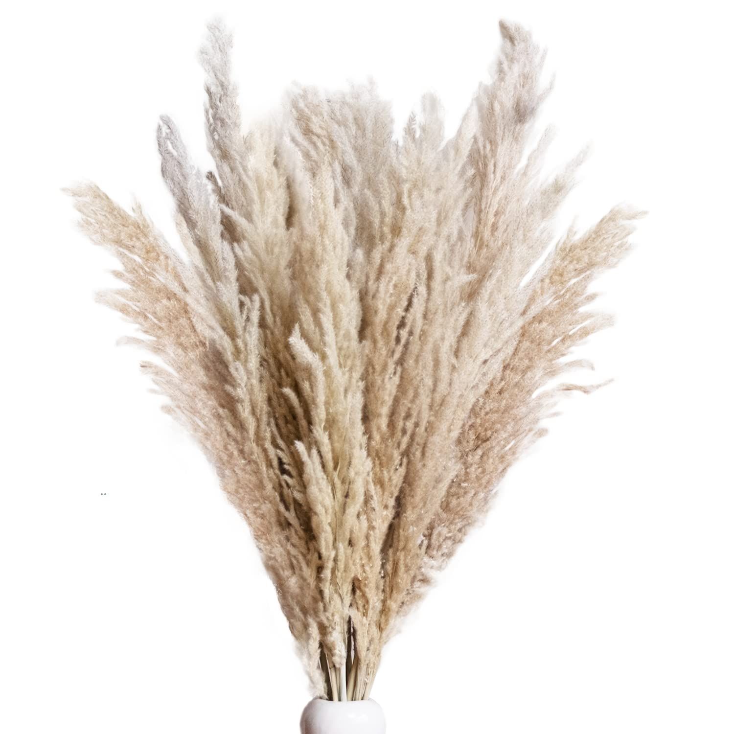 Pampas Grass Decor Tall 45 Inches, 10 Stems of Tall Pampas Grass for Floor Vase, Dried Large Pampas  | Amazon (US)