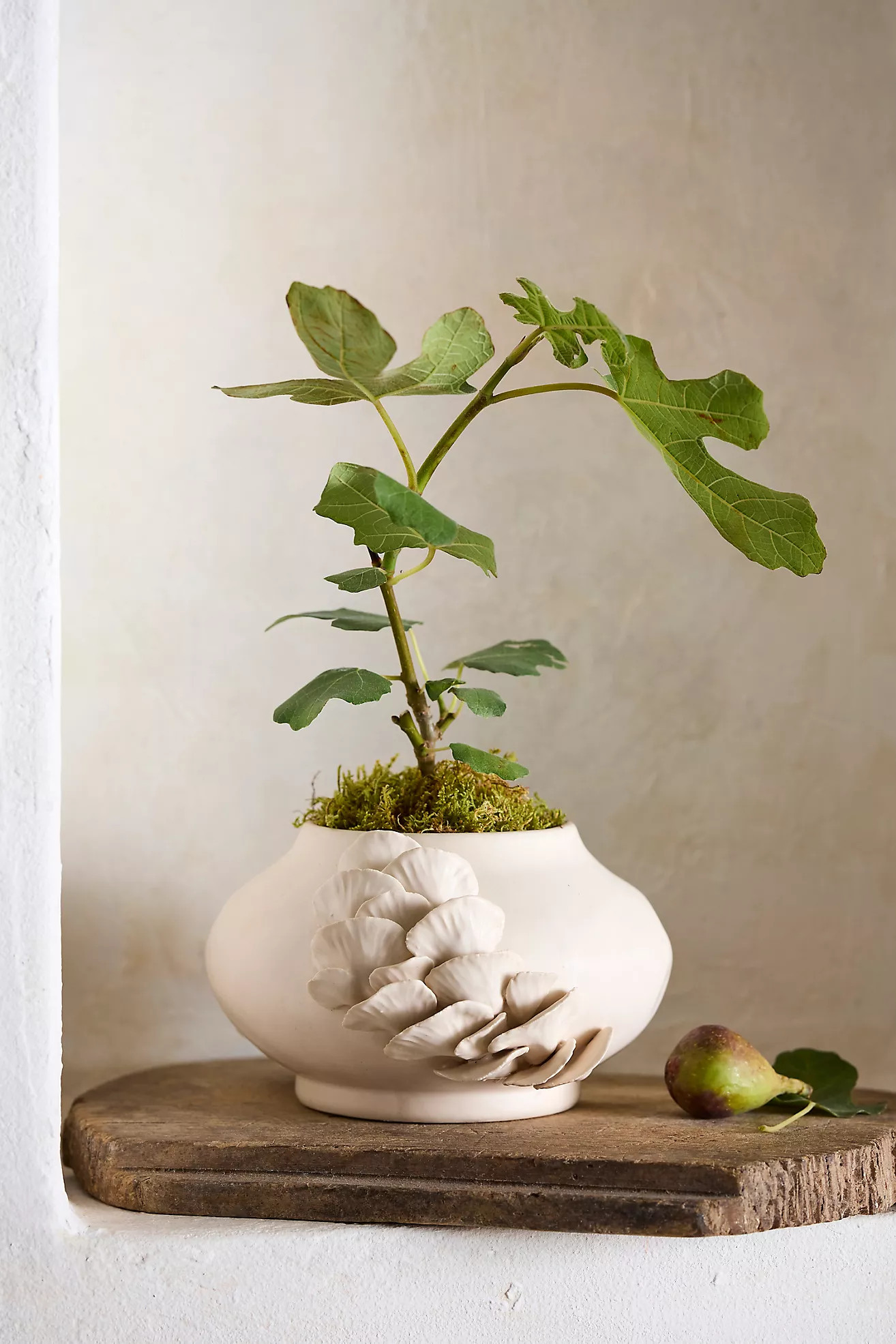 Shelf Mushroom Ceramic Planter | Anthropologie (US)