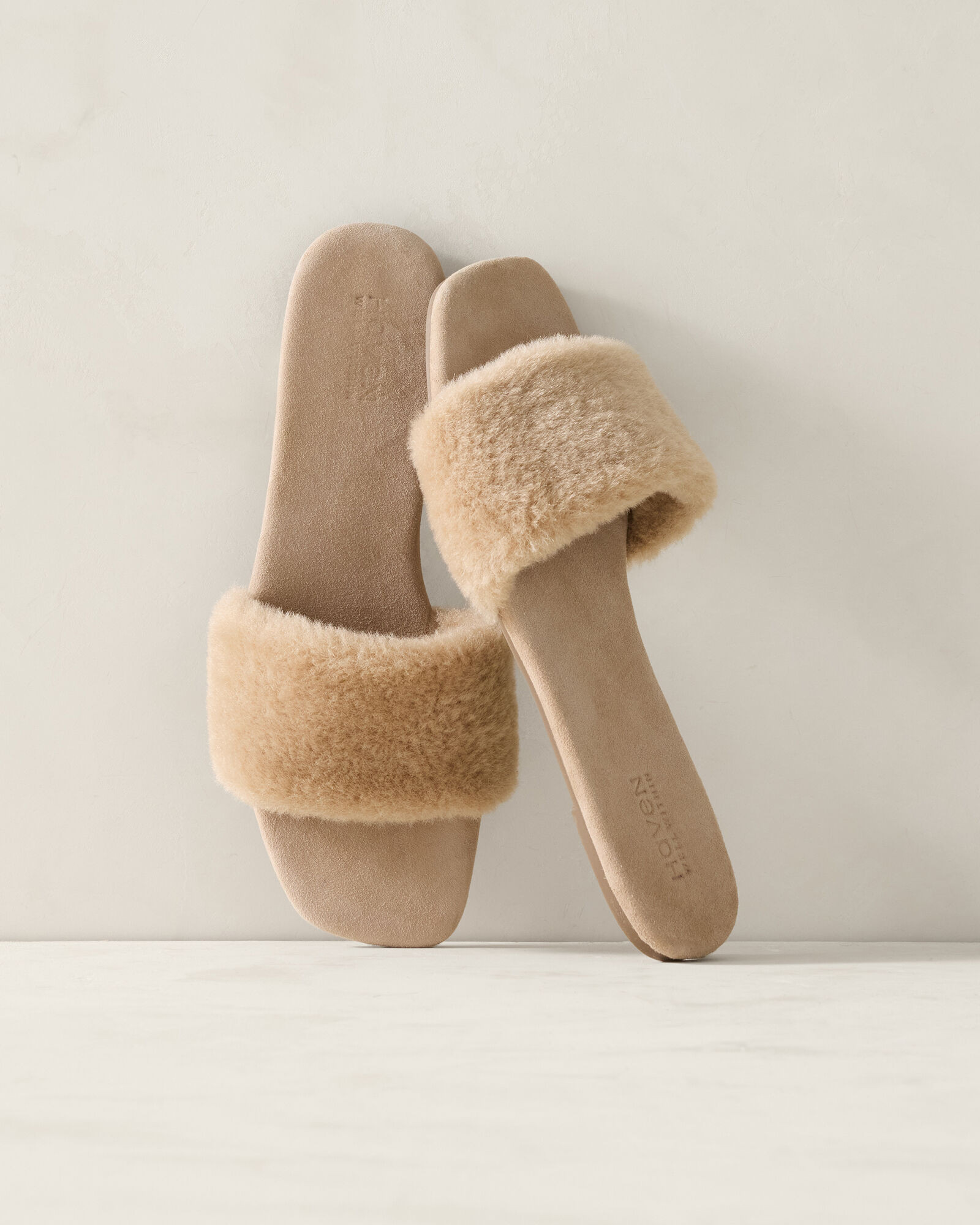 Sherpa Slides | Haven Well Within