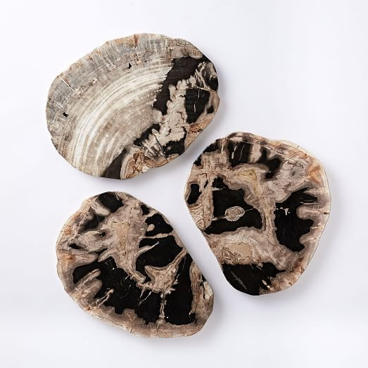 Petrified Wood Cheese Board | West Elm (US)