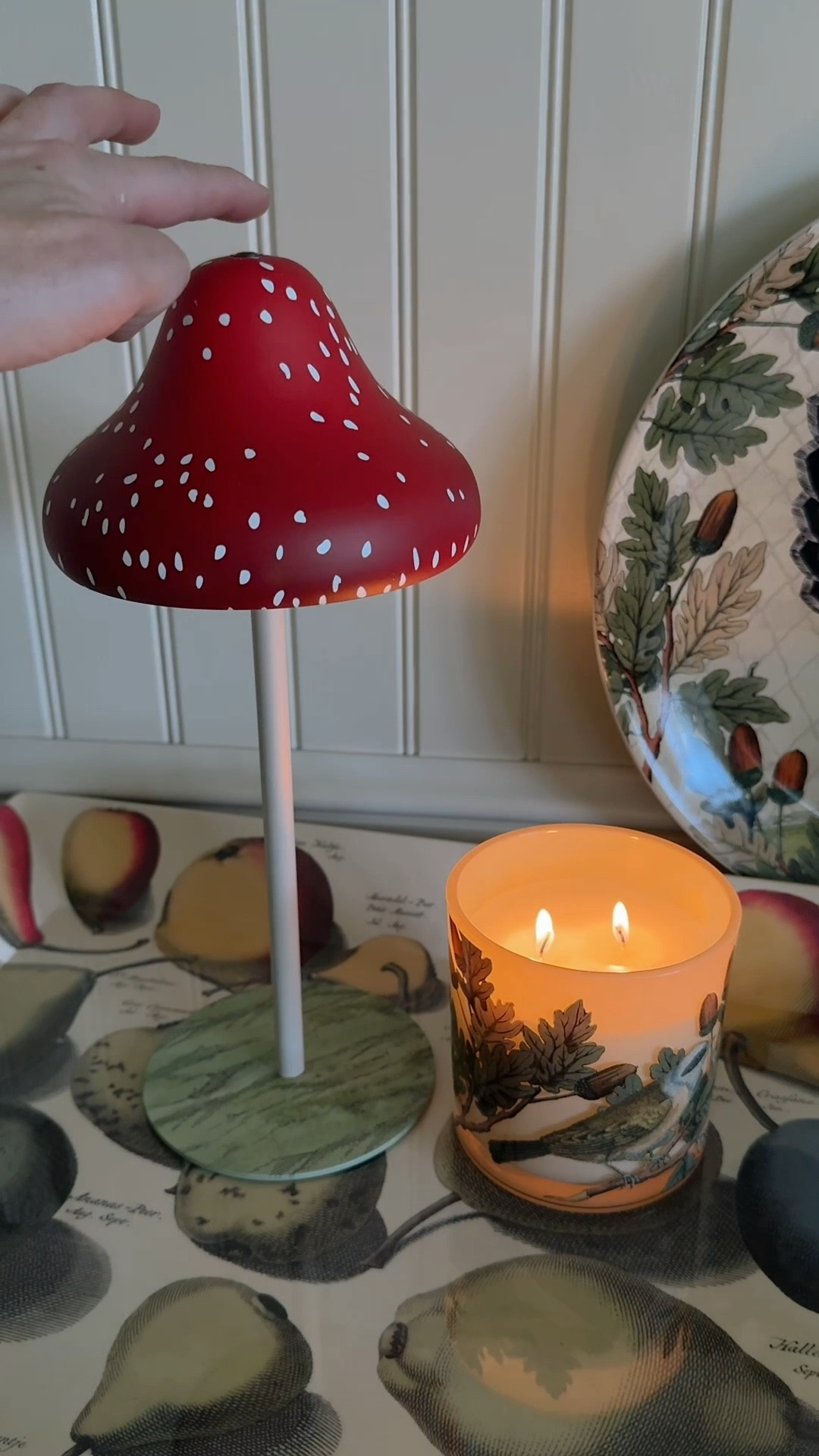 Cozy cottage decor from John derian x Target these are my favorites from the launch. 

#LTKHome #LTKVideo #LTKSeasonal