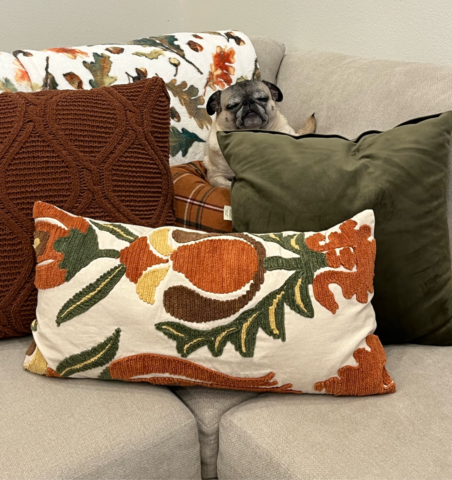 How we feel about fall decor shopping! 🍂😩 if you haven’t done fall decor shopping it’s not too late! I got all my throw pillows at home goods but once you buy them they’re gone! So I’ve linked similar pillows/throws! Good luck fall decor shopping!  

#LTKHoliday #LTKHalloween #LTKhome