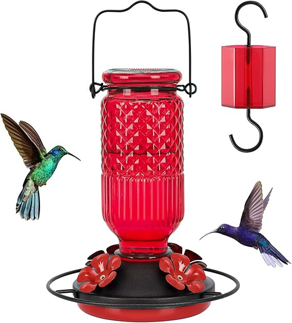FEED GARDEN Glass Hummingbird Feeder for Outdoors Hanging, 16 OZ Humming Birds Feeders with 4 Bee... | Amazon (US)
