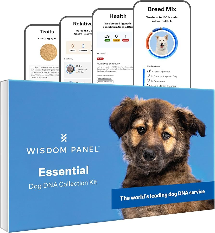 Wisdom Panel Essential Dog DNA Kit: Most Accurate Test for 365+ Breeds, 30 Genetic Health Conditi... | Amazon (US)