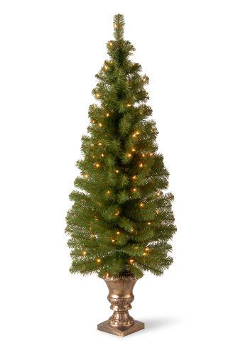 National Tree Company Pre-lit Artificial Christmas Tree For Entrances | Includes Pre-strung White Li | Amazon (US)