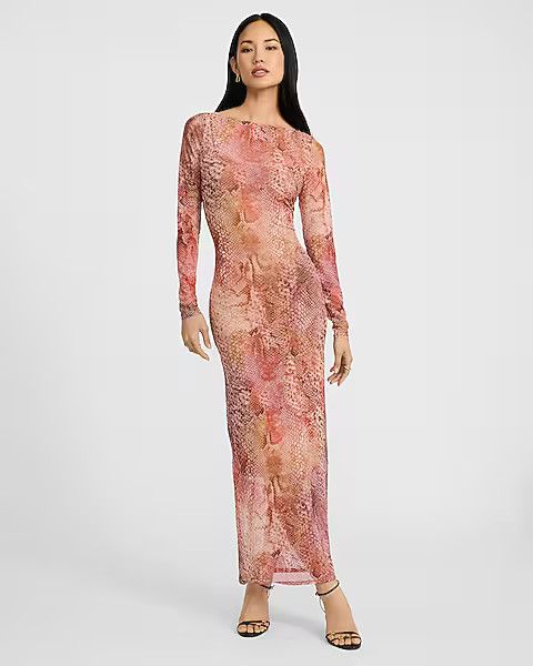 Printed Mesh Boat Neck Long Sleeve Maxi Dress | Express