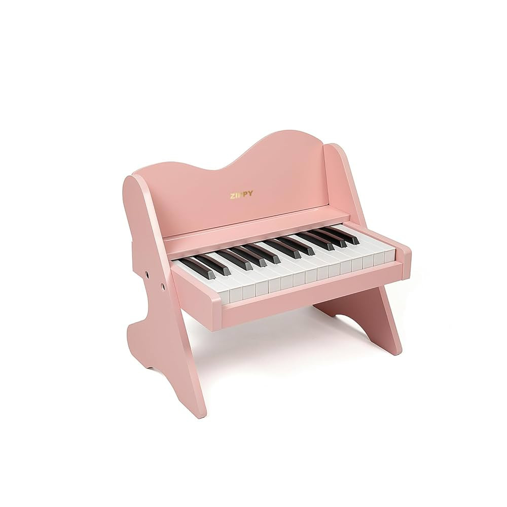 ZIPPY Kids Piano Keyboard, 25 Keys Digital Piano for Kids, Volume Adjustable, Mini Music Educatio... | Amazon (US)