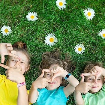 14 Pieces Children Safety ID Wristband Reusable Identification Bracelets Waterproof ID Band Safet... | Amazon (US)