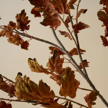 Oversized Oak Leaf Branch | Magnolia