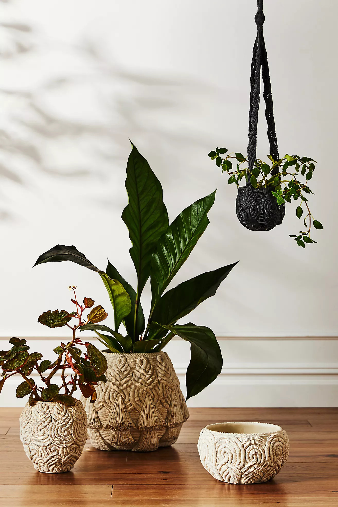 Yoko Textured Pot | Anthropologie (US)