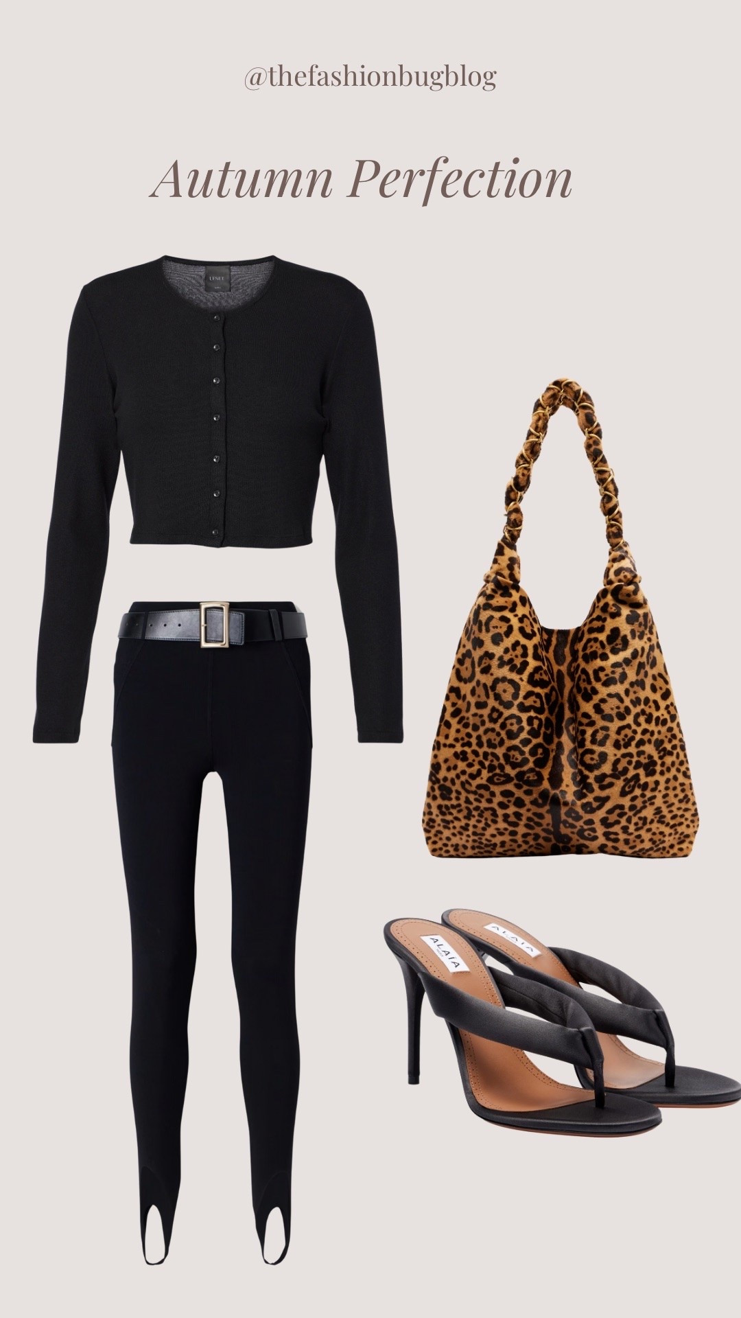 Autumn style leopard bag Saint Laurent cropped cardigan leset self portrait stirrup leggings alaia heels

#LTKautumn #LTKeurope #LTKluxury