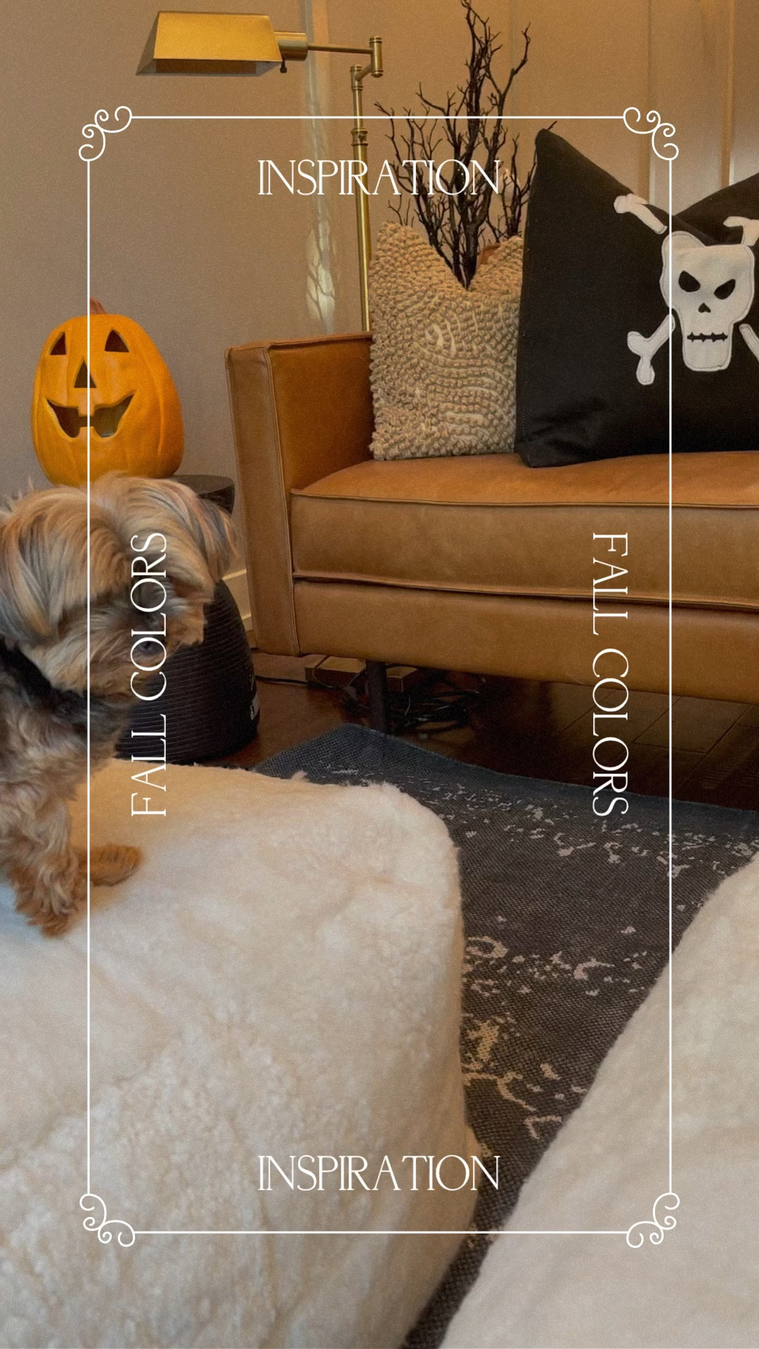 Living room seating area with antique brass lighting
Black side table
Cognac couch 
a dark vintage looking rug 
 warm neutral creamy huge poufs 
#ltkhome #ltkvideo #ltkhalloween

#LTKover40 #LTKSeasonal #LTKfindsunder100