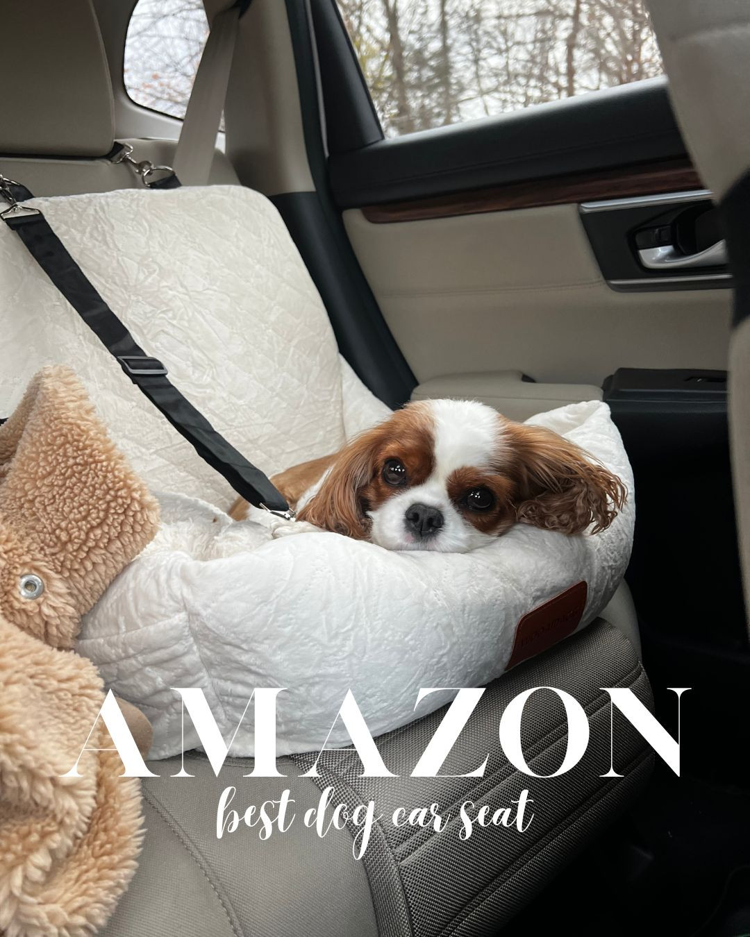 The best and coziest car seat for your little furry friend, on sale now!  

 #LTKHome #LTKSaleAlert #LTKFindsUnder50