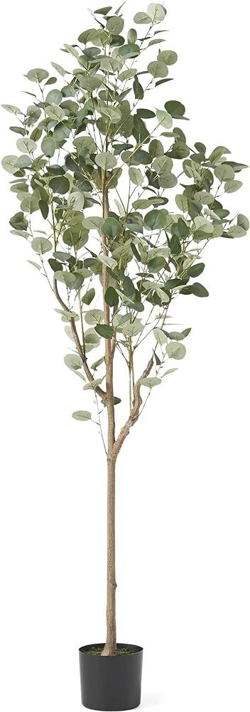 Christopher Knight Home Artificial Plants, 6 ft x 2.5 ft, Green + Black | Amazon (US)