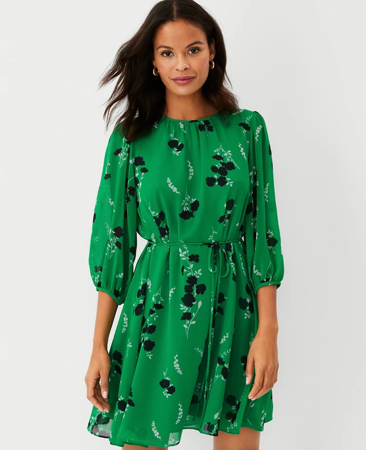 Floral Belted Flare Dress | Ann Taylor (US)