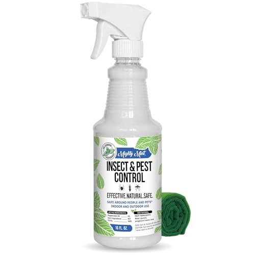 Mighty Mint Peppermint Oil Insect Repellent Spray – Indoor & Outdoor Bug Control for Spiders, Ants, Roaches, and More – Plant-Based, Extra-Strong Formula - 16 oz | Amazon (US)