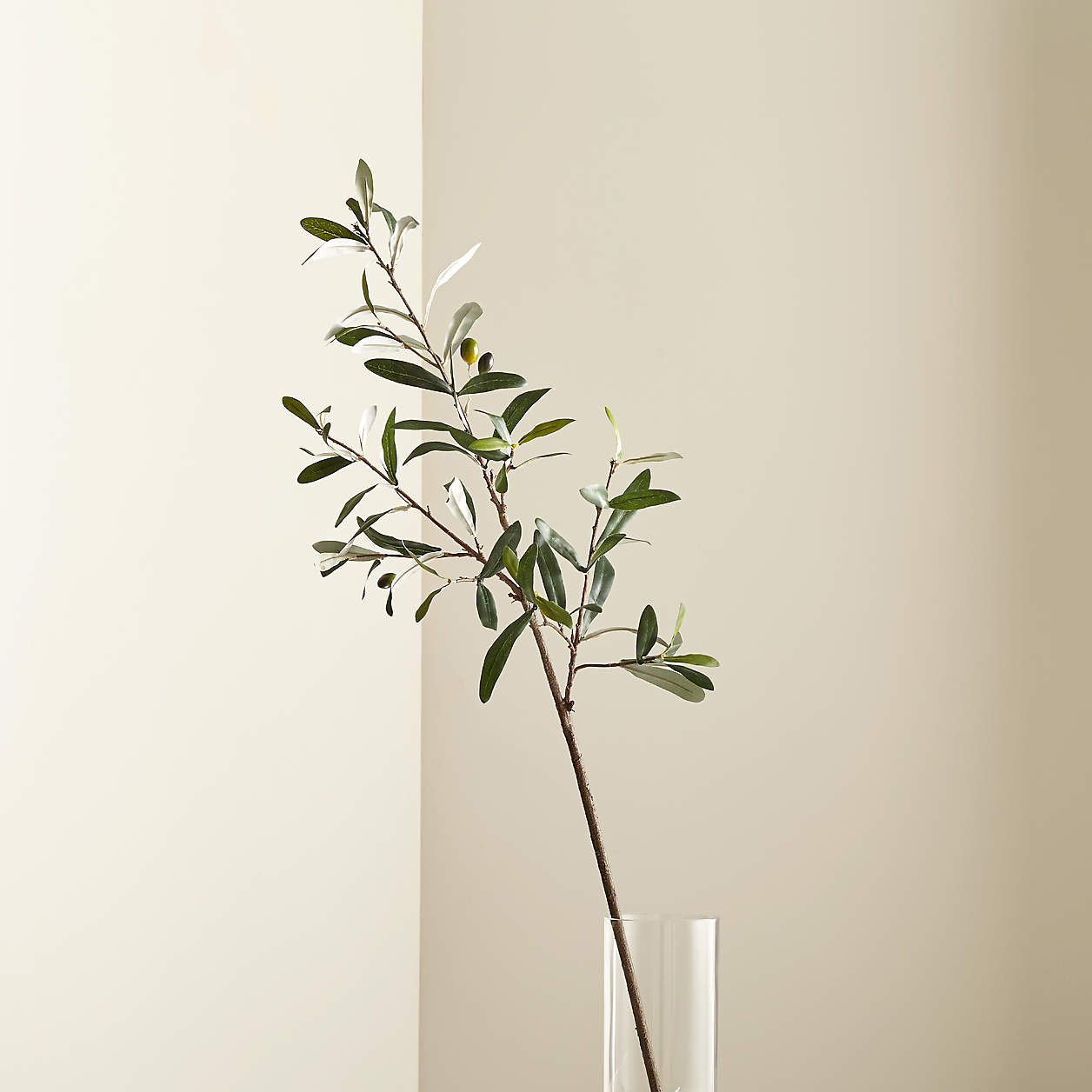 Faux Olive Stem 36" + Reviews | Crate & Barrel | Crate & Barrel