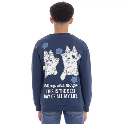 Character Boys Crewneck Sweatshirt | Sam's Club