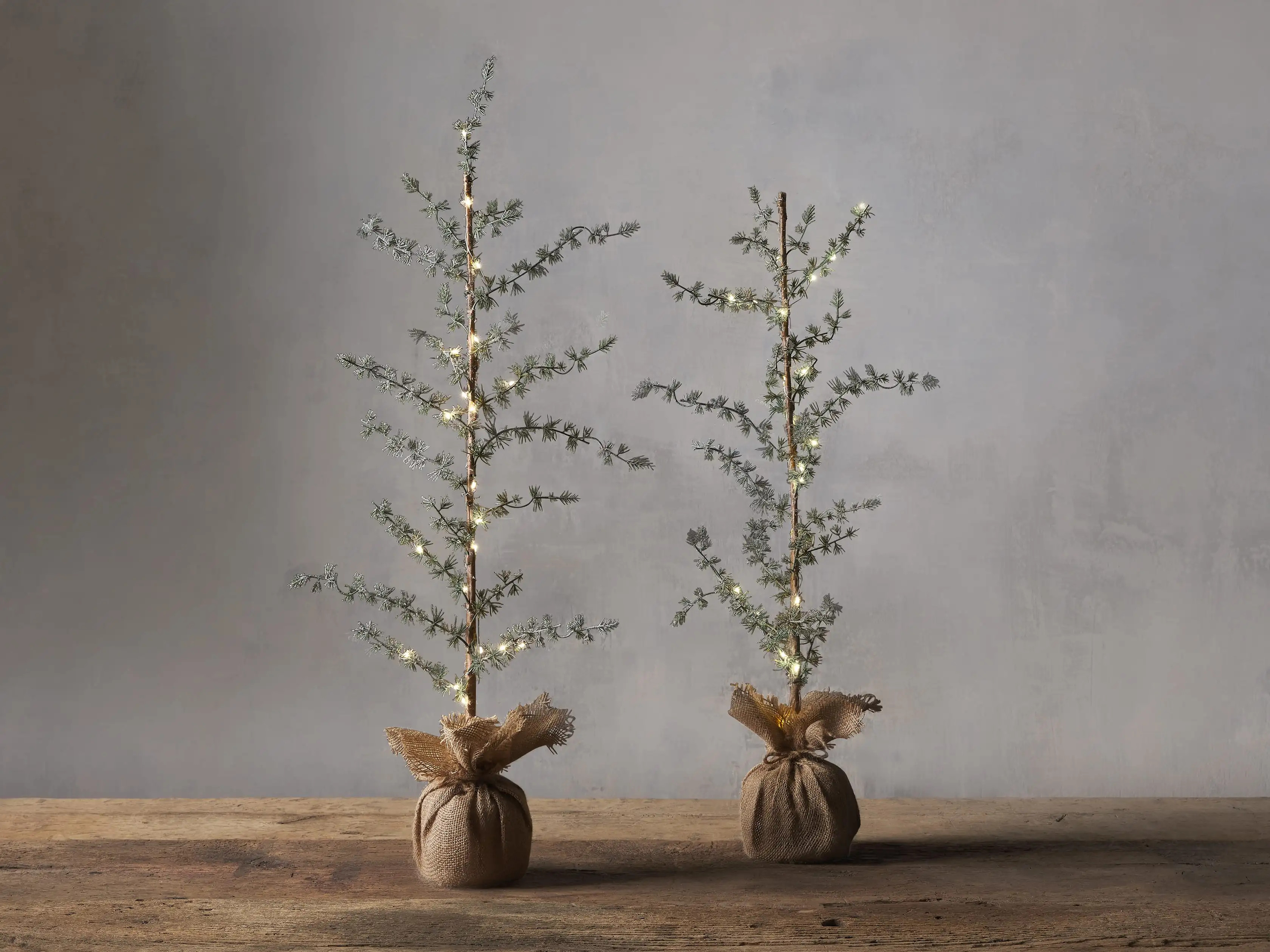 Pre- Lit Faux Larch Tree (Set of 2) | Arhaus