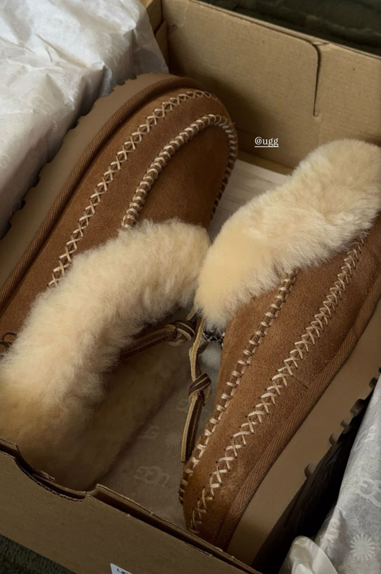 loving these new @uggs for fall !!!

Fall boots, Uggs, slippers, fall shoes

#LTKShoeCrush #LTKSeasonal