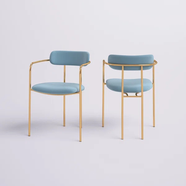 Bellatrix Velvet Upholstered Arm Chair | Wayfair North America