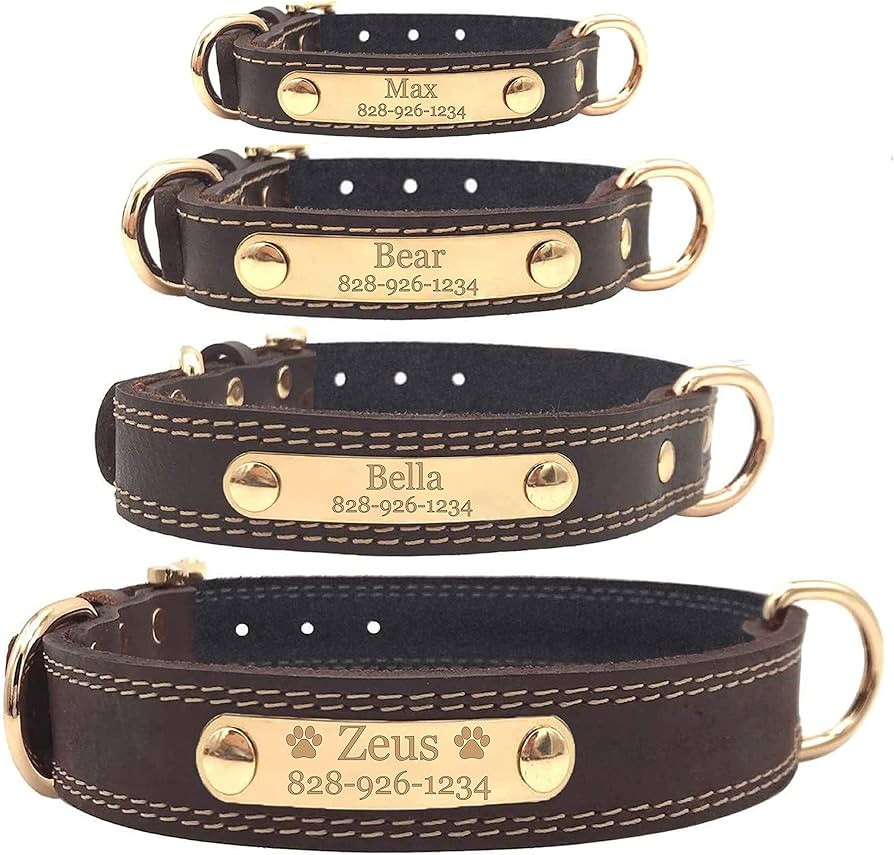 Personalized Dog Collar - Engraved Soft Leather - Custom Small Medium or Large Size with Name Pla... | Amazon (US)