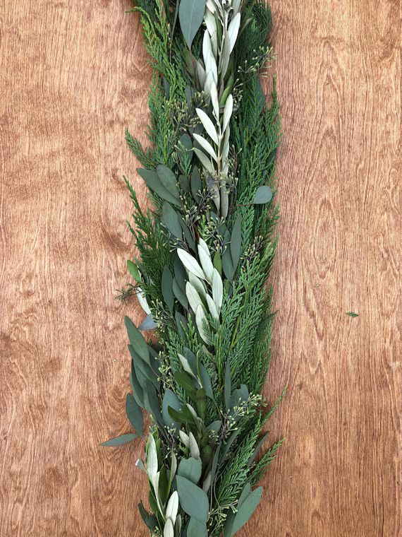 Freshly Harvested Leyland Cypress Olive Leaf and Seeded - Etsy | Etsy (US)