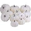 besttoyhome 12 PCS Assorted Sizes Rustic Harvest White Artificial Pumpkins for Halloween, Fall Th... | Amazon (US)