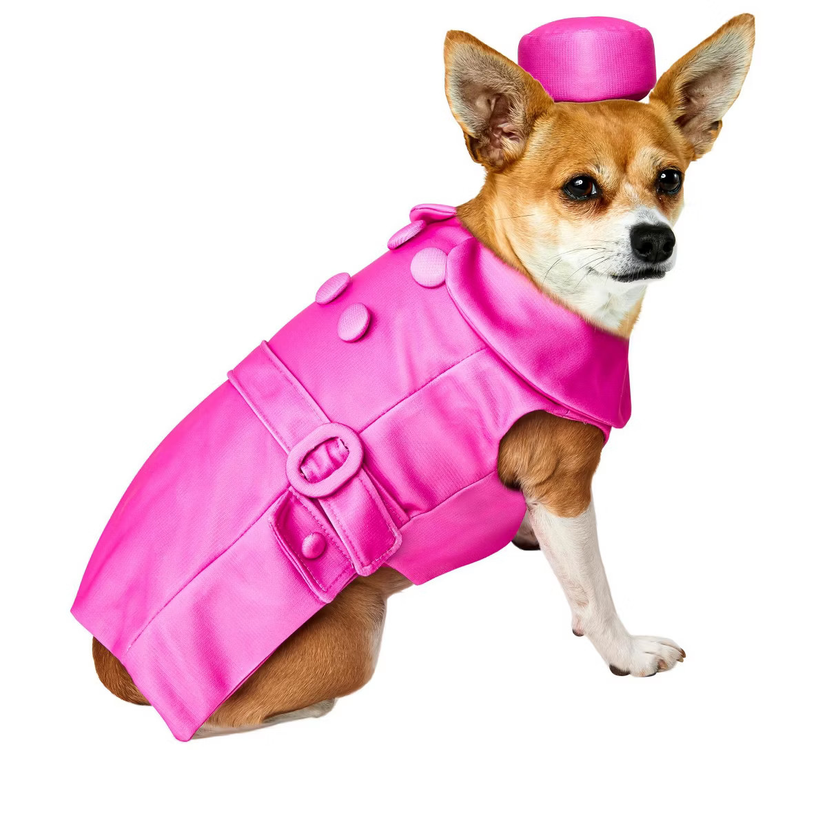 Rubies Legally Blonde: Bruiser Pet Costume | Target