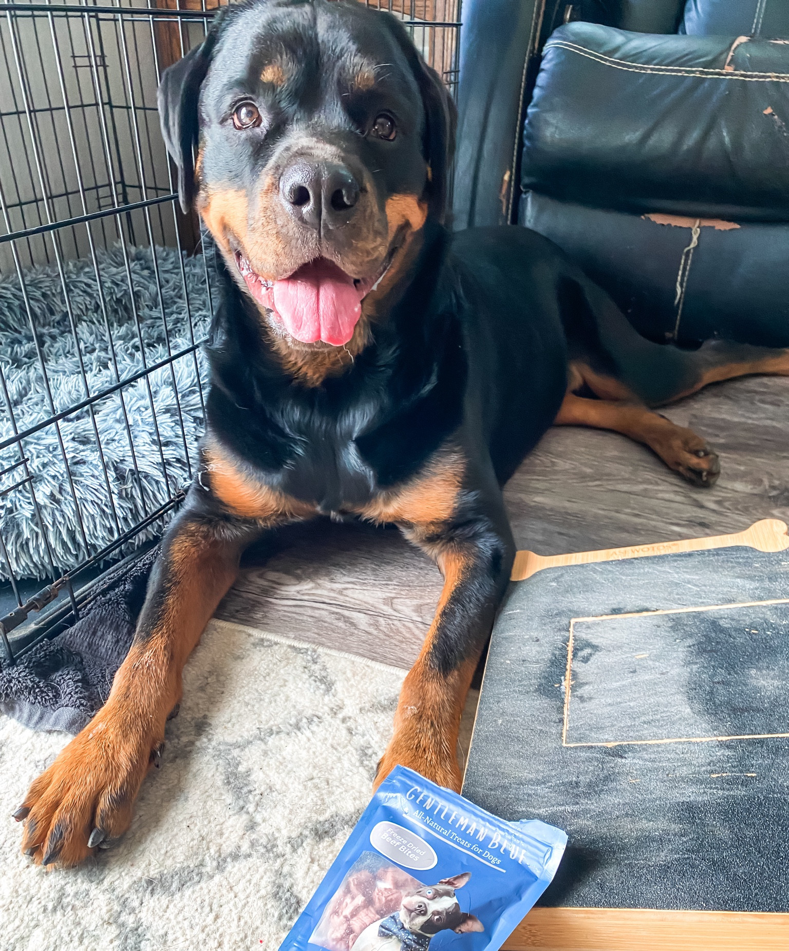 The BEST way to trim doggy nails - a scratch board!!! 

Dog nails | Dog grooming | Scratch board | Nail trimmers 