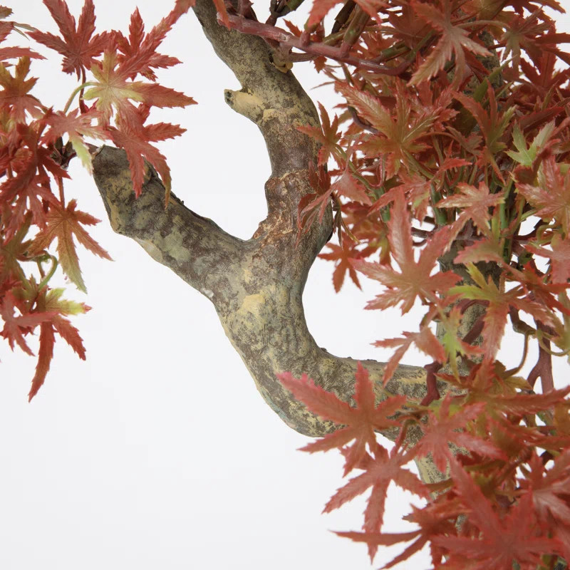 44" Vintage Real Touch Japanese Maple tree with vibrant fall colored leaves, beautiful indoor dé... | Wayfair North America