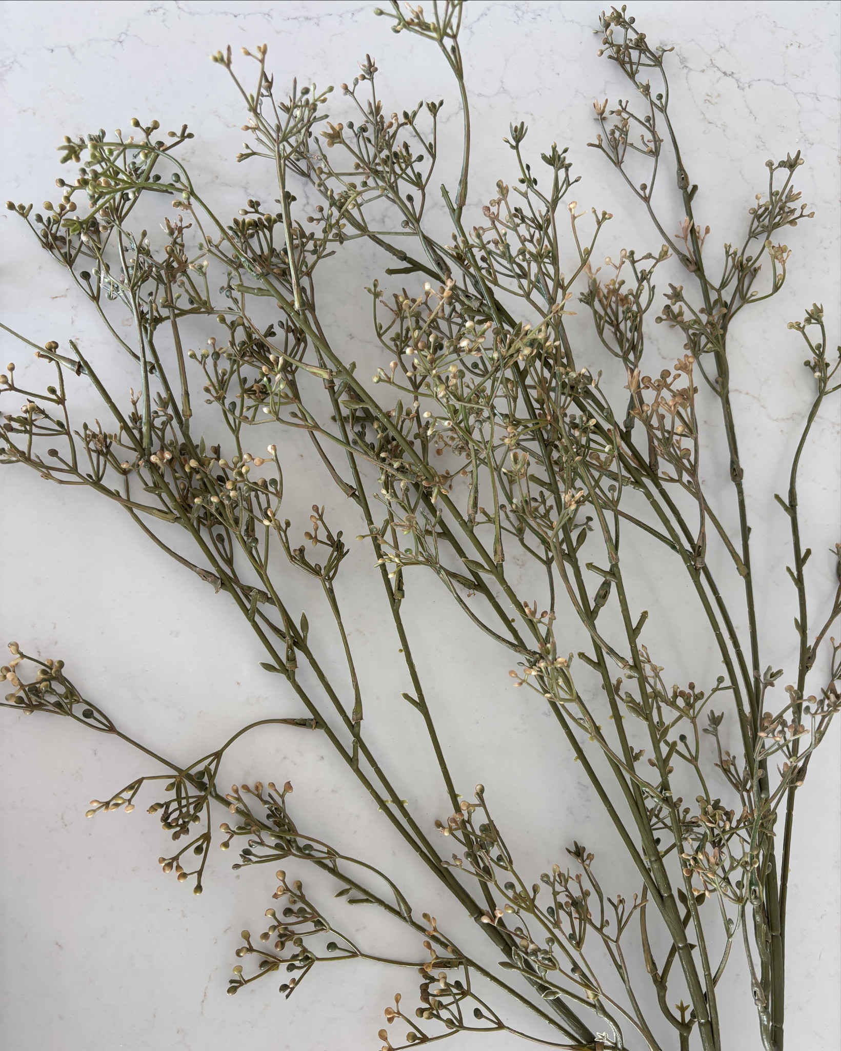 Prettiest spring stems 🌱

#LTKSeasonal #LTKHome