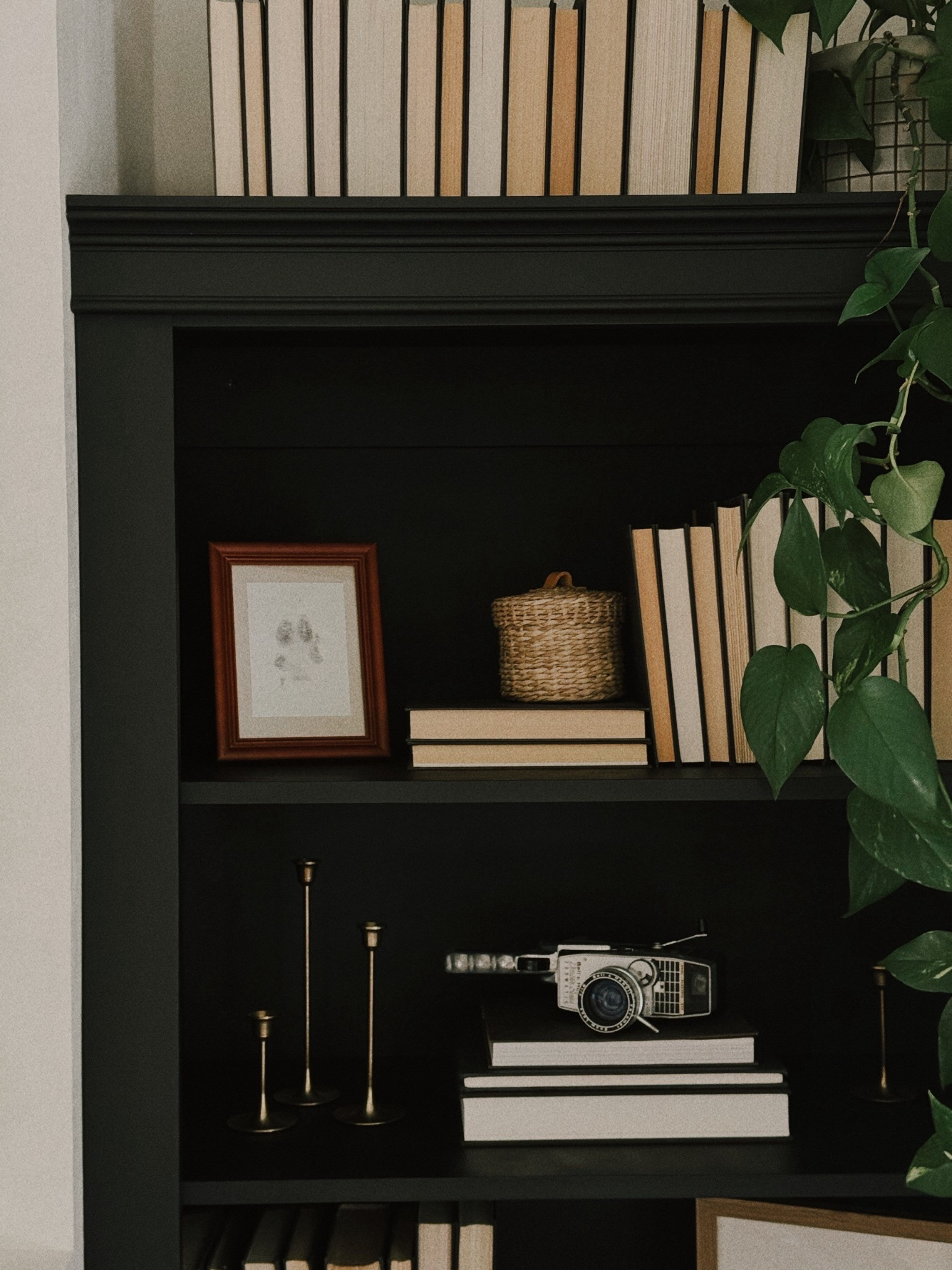 no mess paw print afternoon craft🐾🥹💕