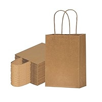 FACEBAG 50-Pack Brown Paper Bags with Handles Bulk, 8x4.25x10.5 Inches,Medium-sized Gift Bags wit... | Amazon (US)