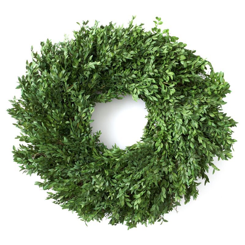 24" Boxwood Wreath, Preserved | One Kings Lane