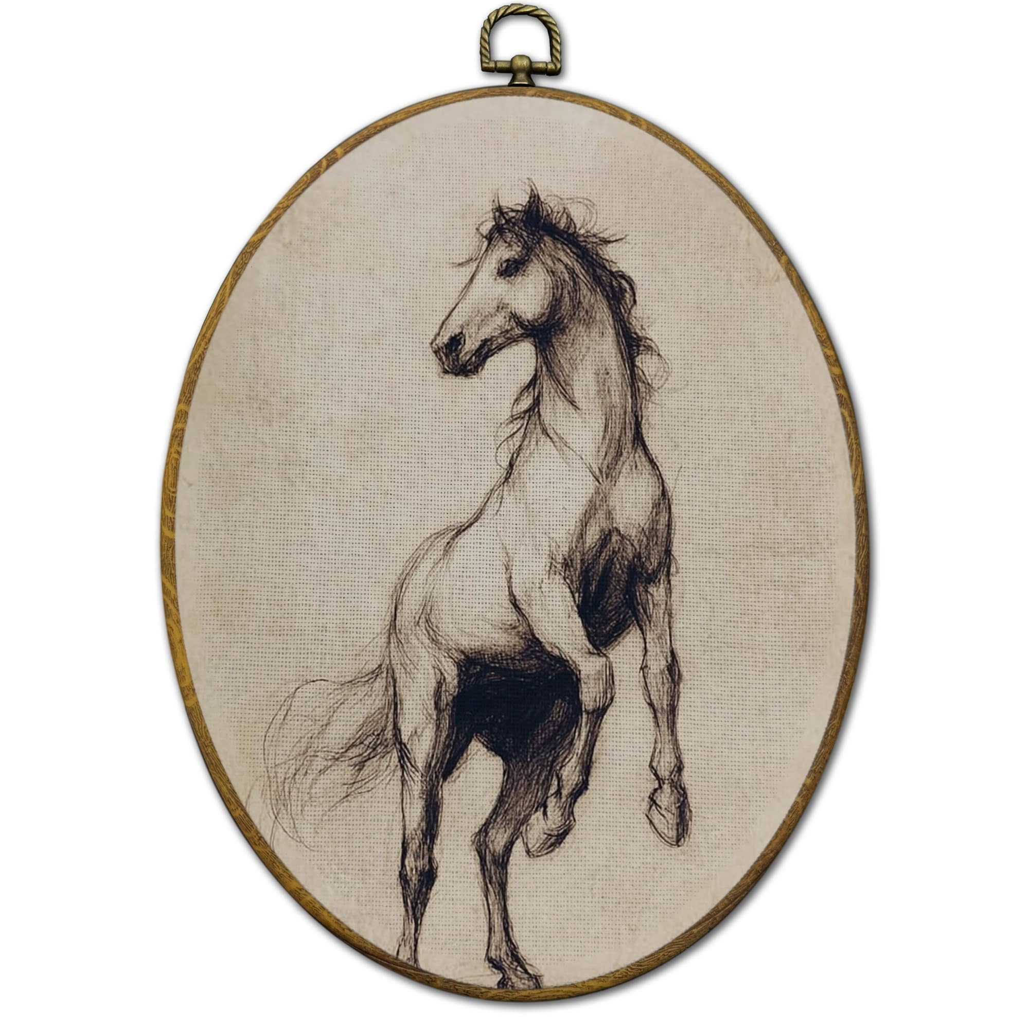 QZQE Vintage Farmhouse Horse Oval Wall Art Decor Framed, Rustic Neutral Sketch Horse Oval Canvas ... | Amazon (US)