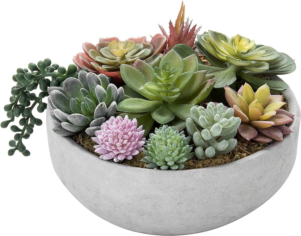 MyGift 8 Inch Round Modern Artificial Succulent Arrangement Potted in Gray Concrete Plant Bowl, A... | Amazon (US)