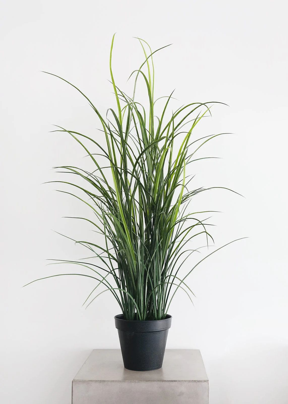 UV Protected Outdoor Potted Grass Plant - 38" | Afloral